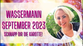 Wassermann September 2023 Schnapp dir die Karotte die vor deiner Nase hängt [upl. by Bradstreet]