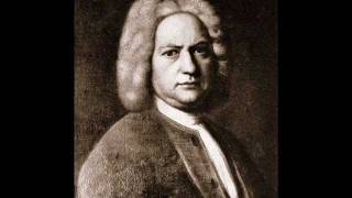 Johann Sebastian Bach  Brandenburg Concerto No 3 AllegroAdagio [upl. by Nodarse]