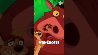 Warthogs and Mongooses An Unlikely Spa Day in the Wild 🐗🐾 animals [upl. by Munniks]