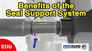 EDDY Pump  Mechanical Seal Support System Explained [upl. by Schnell]