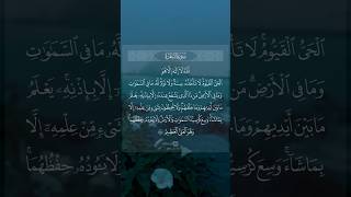 Ayat kusri best voicequrantilawatequranxtadboratflowersqurantilawat quranpakislamicprayerlove [upl. by Htebasyle175]