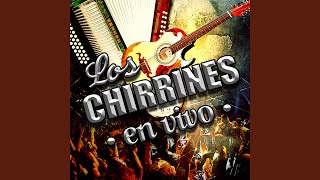 Tololoche Chicoteado En Vivo [upl. by Yevi]