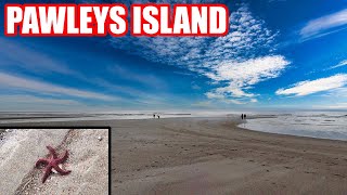 Pawleys Island Tour  Things to do near Myrtle Beach [upl. by Jeuz891]