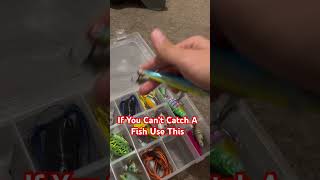 Catfish carp bass lure fishing baitfishing blue gill glidebaitfishtok basspro jerk bait bell grub [upl. by Pinzler36]