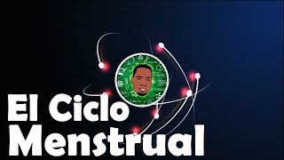 Ciclo menstrual  Menstruación 3D [upl. by Bashemeth99]