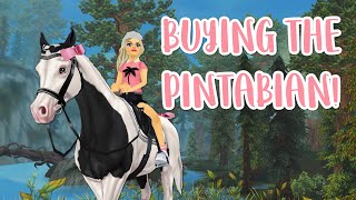 Buying the New Pintabian  Star Stable [upl. by Kissner]