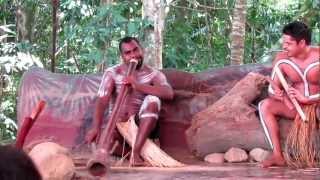 Aboriginal Dance  Kuranda QLD [upl. by Burnham776]