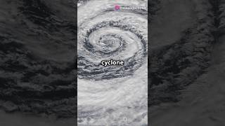 How does Cyclone form🌪️ shorts cyclone typhoon [upl. by Merwyn]