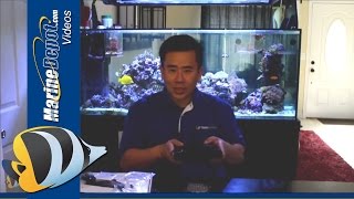 EcoTech Marine Radion XR15w Pro  Hands On Review [upl. by Vachil]