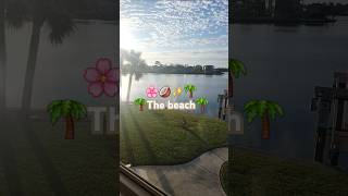 music subscribe dance florida beach I LOVE THE VIEWS♡ [upl. by Yenolem]