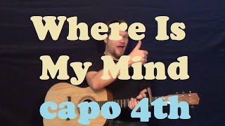 Where is My Mind The Pixies Easy Strum Guitar Lesson CAmEF No barre chords  capo 4th [upl. by Senior385]