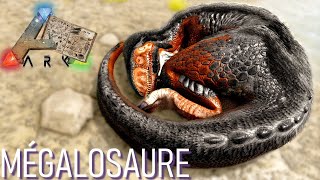 MÉGALOSAURE  TAMINGPIÈGECAPACITÉS Dino Dossier 📖 [upl. by Oivlis516]