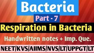 Bacteria  Part  7  Respiration in BacteriaHandwritten notes Imp Que [upl. by Ynnij]