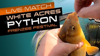 Live Match Fishing White Acres Frenzee Festival Python Lake [upl. by Lunnete923]