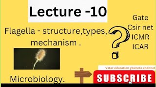 Flagella structureTypesMachanism of actionMovement MicrobiologyBacterialHindi biology [upl. by Gnus]