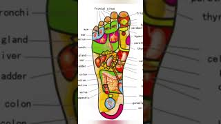 50  Reasons to Massage Your feet everyday before sleeping in night  Foot Acupressure Points [upl. by Letniuq]