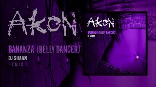 Akon  Bananza Belly Dancer  DJ Shaan Remix [upl. by Lanam]