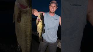 Popping Cork for Bass is Doing Wonders See How to Set Up a Popping Cork Check Out Featured Video [upl. by Mcculloch575]