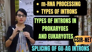 Types of Introns  Splicing of GUAG Introns  mRNA Splicing  CSIRNET [upl. by Bernadette]