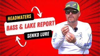 Insider Bass amp Lake Fishing Report Effective Senko Lure Techniques [upl. by Lenore]