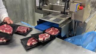 REEPACK  REEFORM T45  MEAT IN PROSKIN PACKAGING [upl. by Bound495]