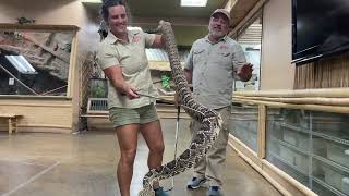 Handling a Venomous Snake for the First Time😳😅 [upl. by Bogoch]