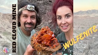 OOPS I Went the WRONG Way BUT I GOT Wulfenite CRYSTALS Red Cloud Mine TheCrystalCollector [upl. by Asle]