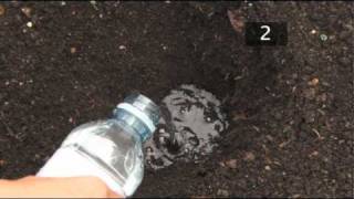 How To Test Soil PH [upl. by Westmoreland]