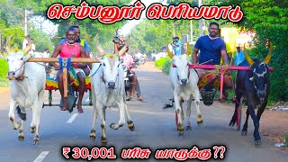 6செம்பனூர்பெரியமாடுபந்தயம்02112024VPhotography [upl. by Aras]