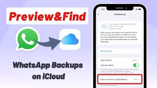 How to Access WhatsApp Backup on iCloud Find WhatsApp Backup on iCloud in An Easy Way [upl. by Delanie]