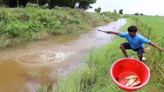 Fishing Video  If you dont know the fishing technique you cant catch fish in the village canal [upl. by Heidi]