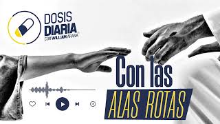 Dosis Diaria Roka  Con las alas rotas [upl. by Ecirtal233]