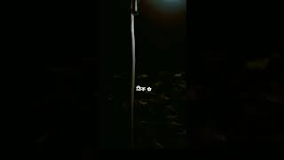 Abu taha muhammad adnan video whatsapp status waz shorts video islimic bangla2024 [upl. by Zwart377]