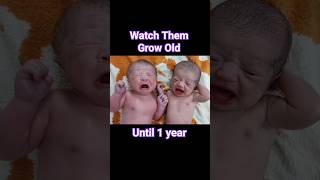 Cute Twin Newborn Babies timelapse until one Year [upl. by Aronson465]