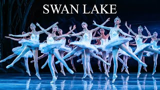 Swan Lake  The State Ballet of Georgia 2024 [upl. by Beryle]