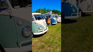 Split Window VW Buses At 2024 Terryville Volkswagen Show vw [upl. by Bridget]