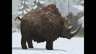 Woolly Rhino Coelodonta Sounds Version JW [upl. by Cindee]