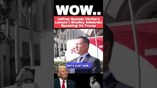 Jeffrey Epstein Victims Lawyer Speak On Donald Trump [upl. by Eihtak]