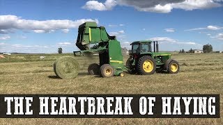 The Heartbreak of Haying [upl. by Tabbitha320]