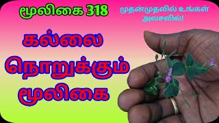 சதை ஒட்டிகல் நொறுக்கிSathaiyottiPeristrophe Paniculataஅலசல்Alasal [upl. by Ajat187]