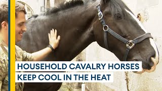 How the Household Cavalry is keeping its horses cool during the heatwave [upl. by Assile768]