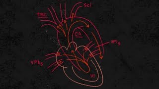 Cardiología Insuficiencia cardiaca quotizquierda y derechaquot [upl. by Nerha]