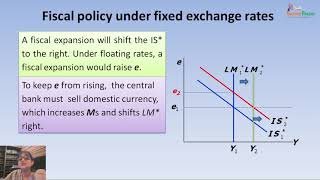 The Mundell Fleming model [upl. by Cassie]