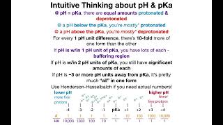 Quick term talk pH pKa pI isoelectric point pKR and acidic vs basic amino acids [upl. by Hasseman]