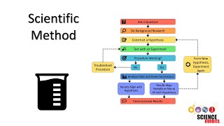 The Scientific Method Steps and Examples [upl. by Yorgo213]