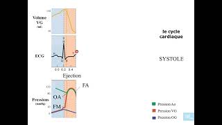 4  Physiologie cardio vasculaire partie 4 [upl. by Nevetse]