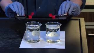 Diffusion and Osmosis  For Teachers [upl. by Aronid]