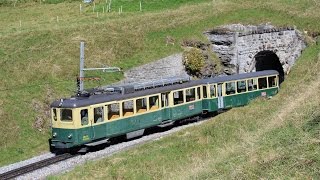 WengernAlpBahn im Sommer 2014  Güterzüge und alte Triebwagen [upl. by Attirb469]