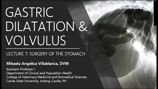 Lecture 72 Gastric Dilatation and Volvulus [upl. by Kimmy]