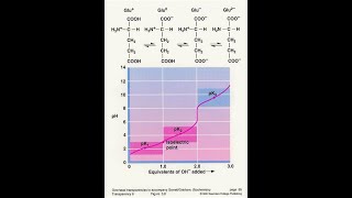 Amino acid Titration Curve Ionizable group Part 2 [upl. by Kcub]